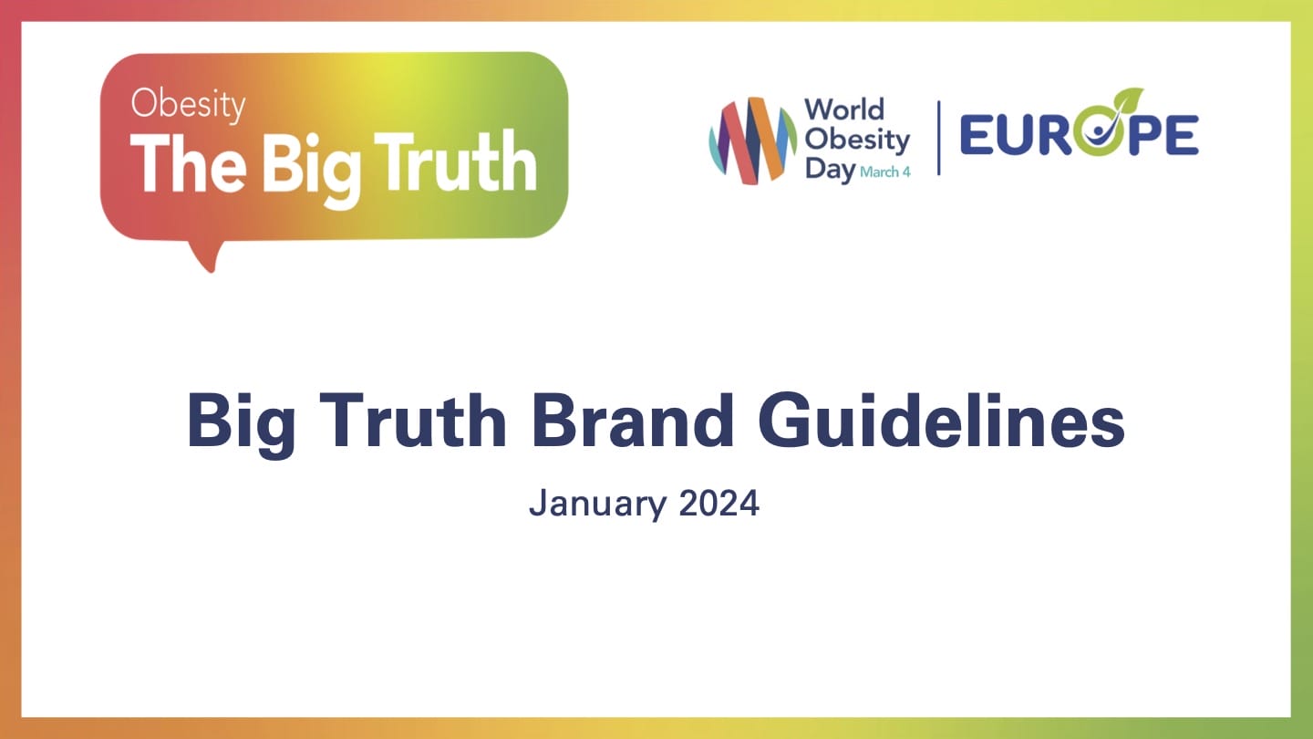 Big truth brand guidelines january 2014.